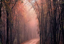 2024歐預賽9月最佳陣容：B費10分領銜 盧卡庫若塔入選.