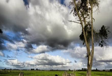 足协高层会见亚足联秘书长，宋凯：希望更多青少年赛事在中国举办上海申花对阵横滨水手：亚冠生死战，不容有失.