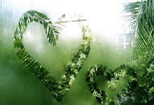 九游娱乐：字母晃眼 布朗：他不過是個孩子 我全心助力球隊勝利.