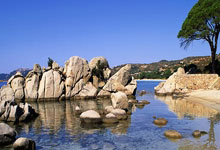 法媒：替代埃德森，曼城有意波尔图门将迪奥戈-科斯塔.